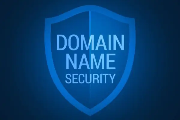 Domain name security
