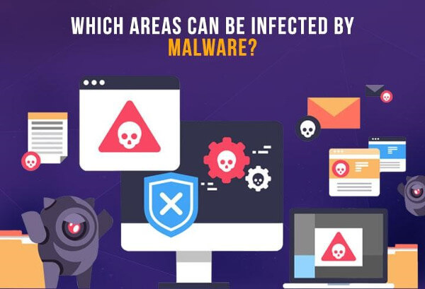 What can malware infect?